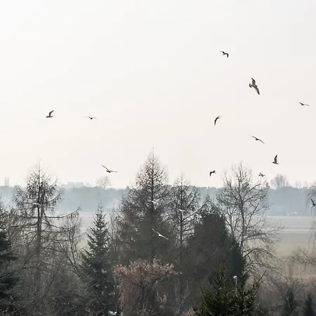 Maroks Zolwia By Bookinghost * Varsavia