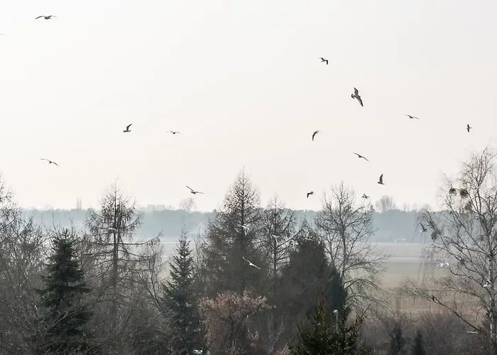 Maroks Zolwia By Bookinghost * Warszawa